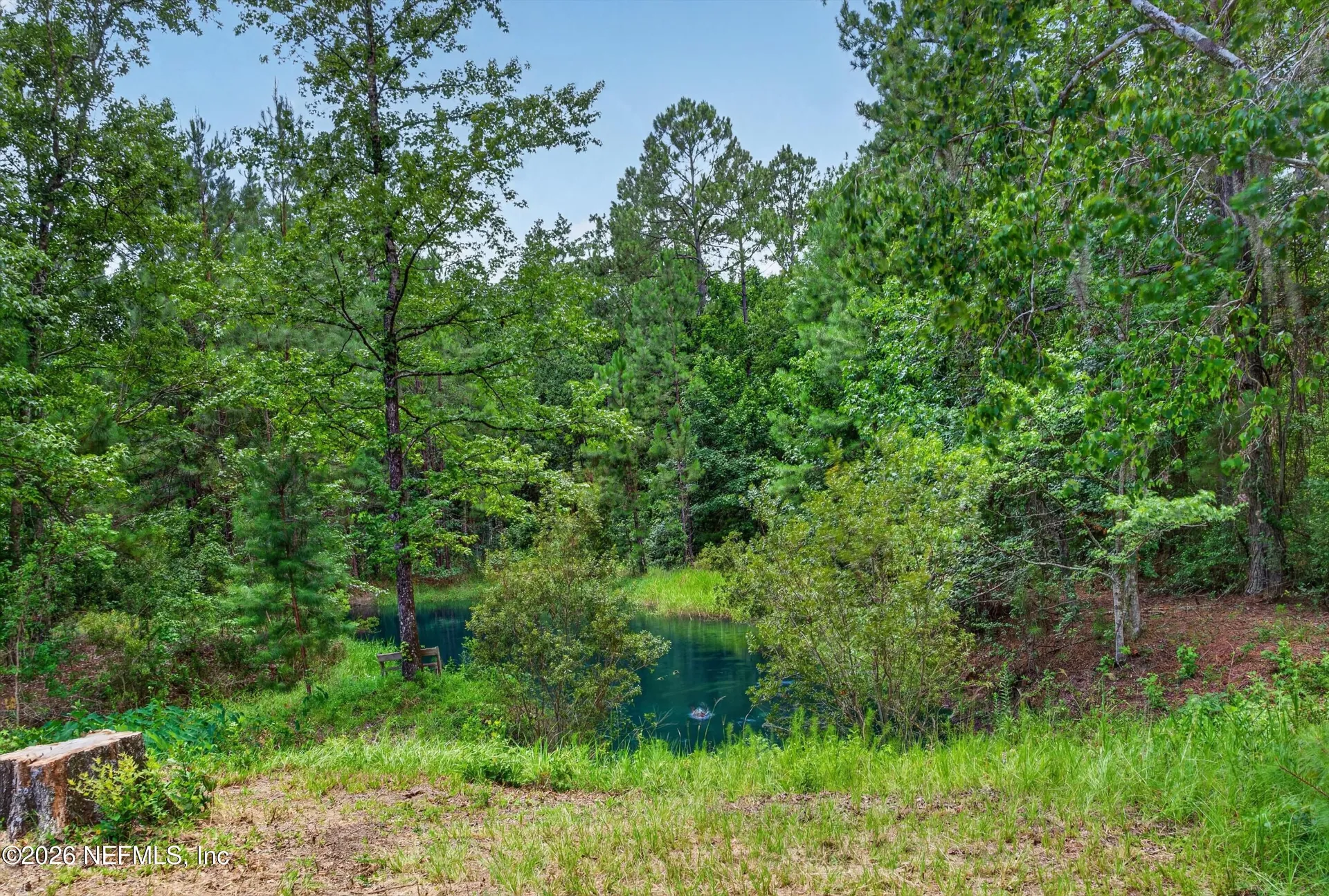 4890 Mcallister Road Middleburg FL 32068