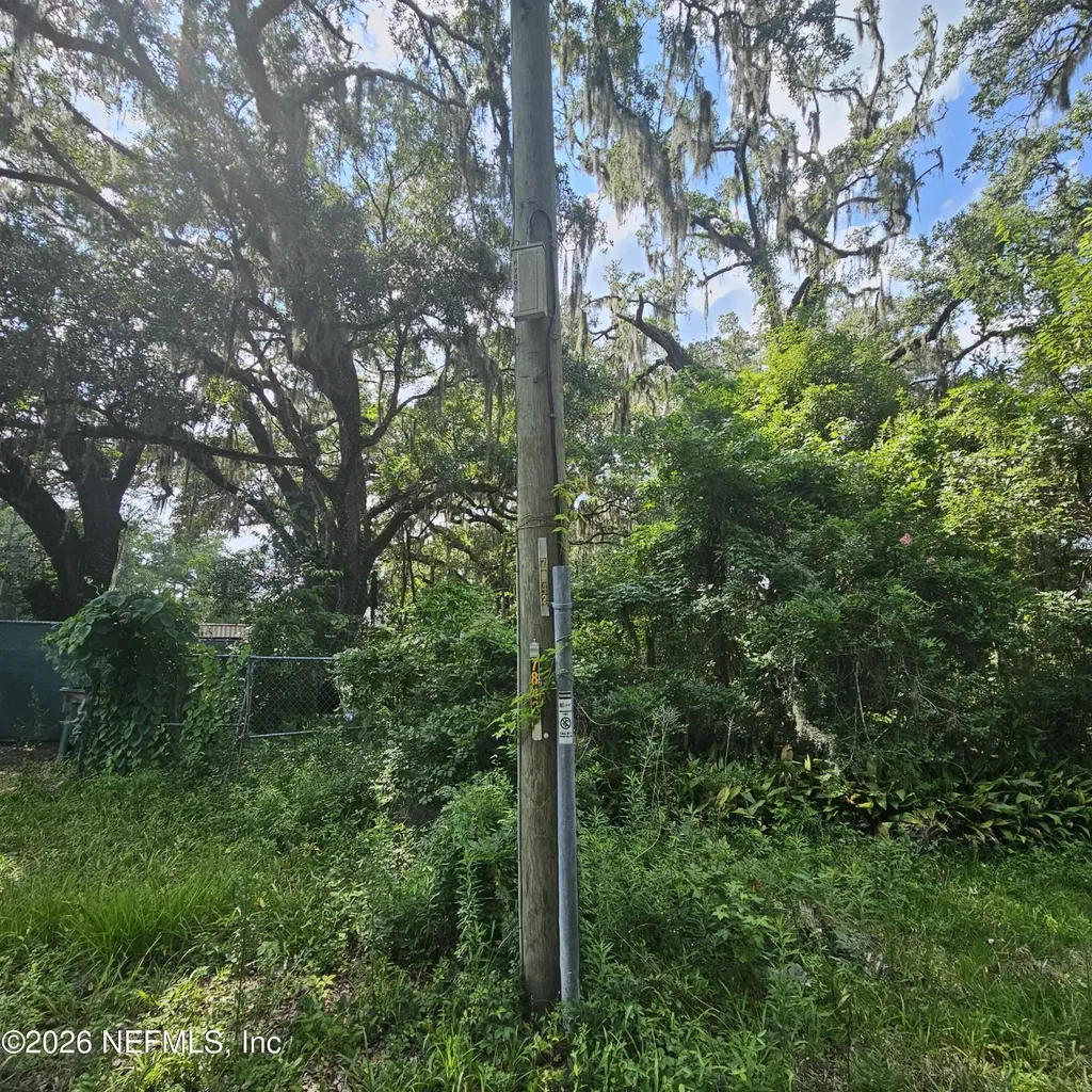 7803 Crawford Street Jacksonville FL 32256
