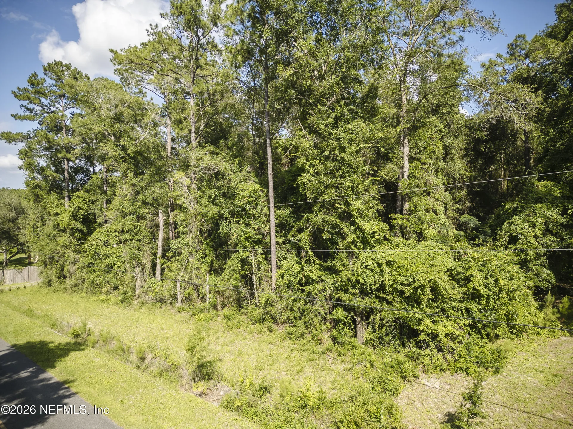 3206 County Road 215 Middleburg FL 32068