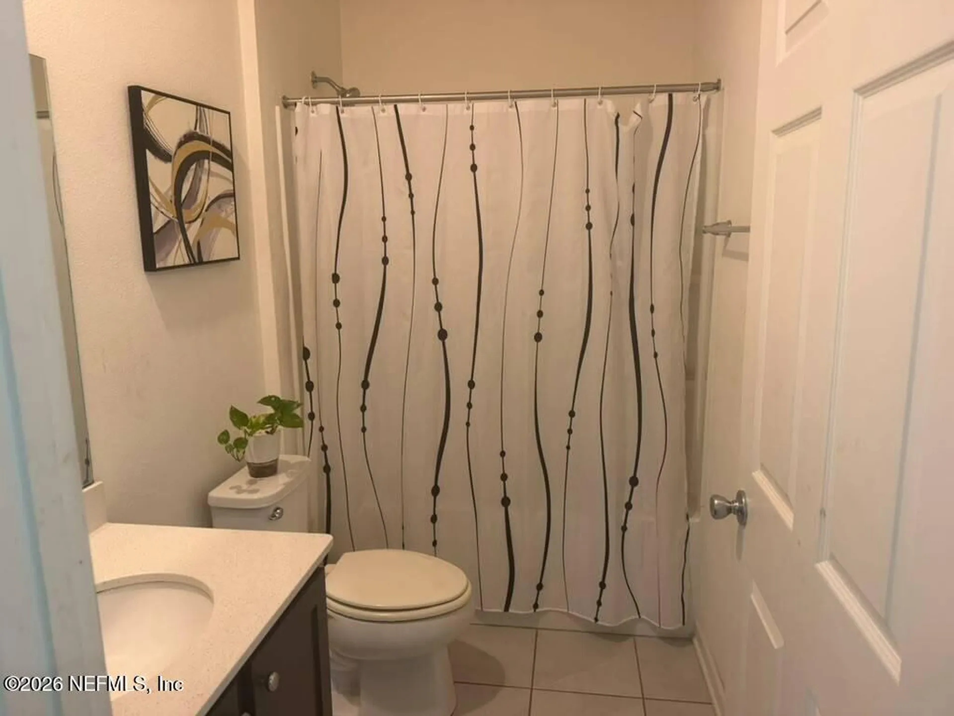 13258 Brookwater Drive Jacksonville FL 32256