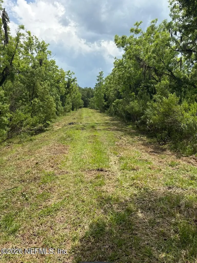 459 County Road 2006 East Bunnell FL 32110