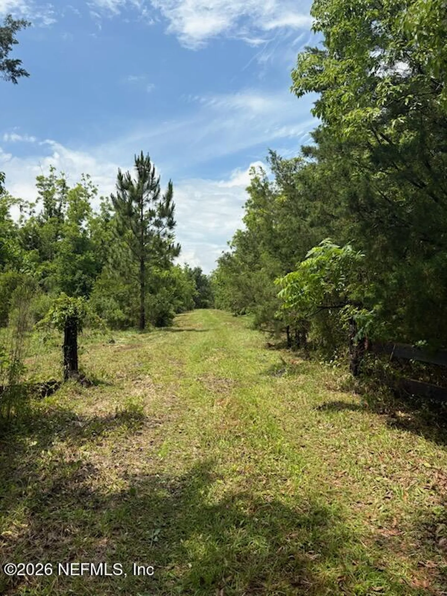 459 County Road 2006 East Bunnell FL 32110