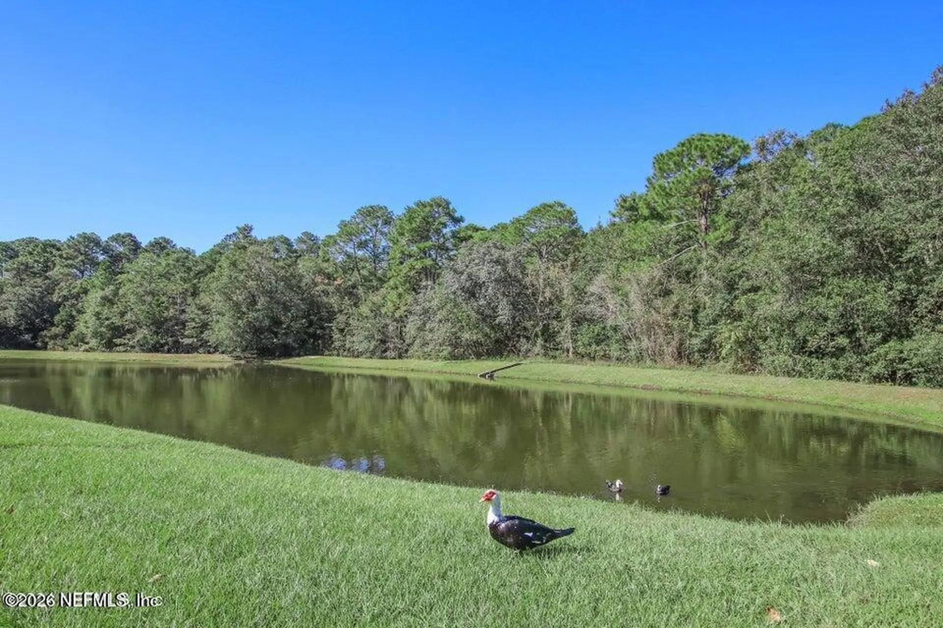 7939 Melvin Road Jacksonville FL 32210