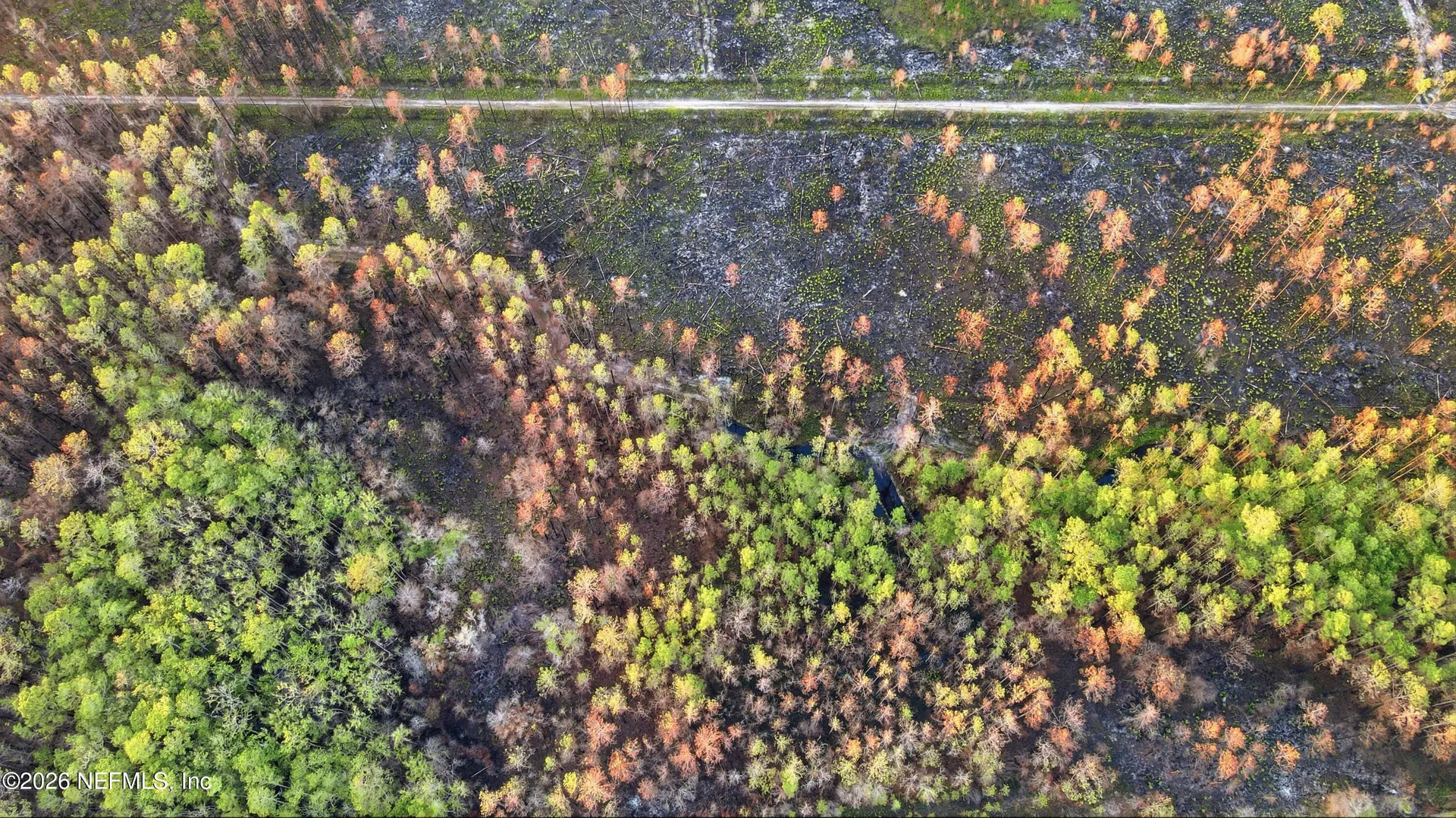 131 NW 2nd Avenue Palatka FL 32177
