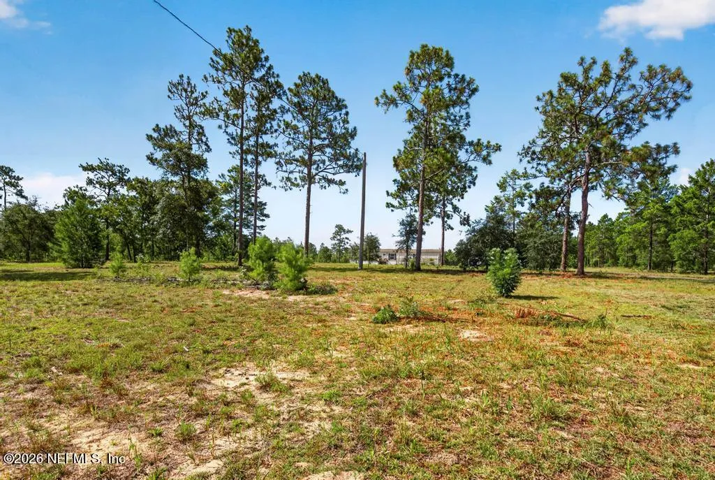323 Lily Trail Interlachen FL 32148