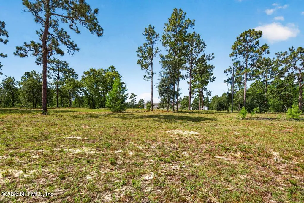 323 Lily Trail Interlachen FL 32148