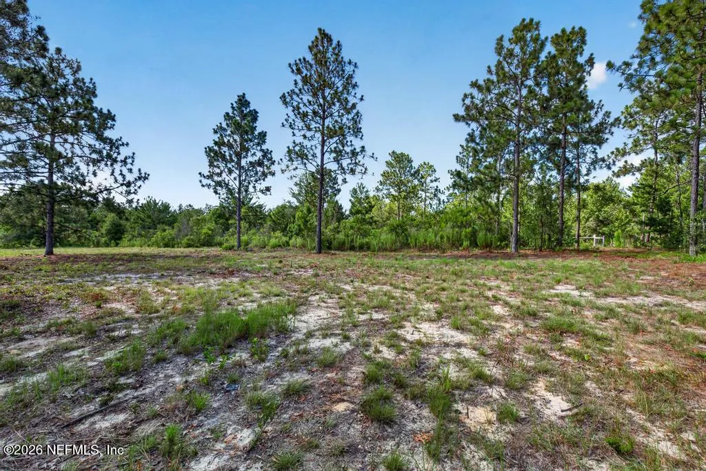 323 Lily Trail Interlachen FL 32148