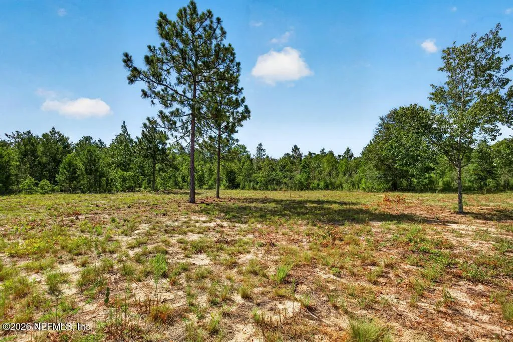 323 Lily Trail Interlachen FL 32148