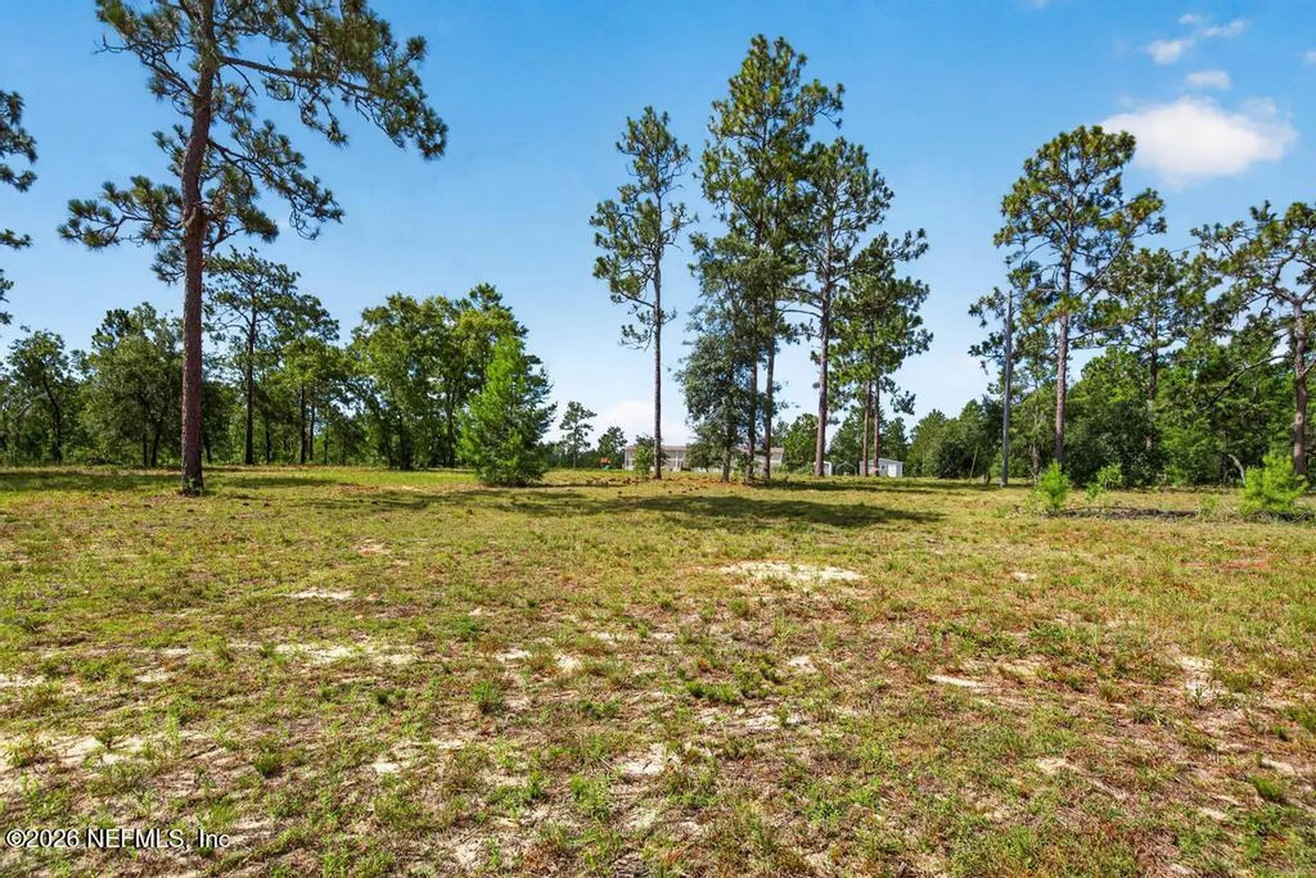 323 Lily Trail Interlachen FL 32148