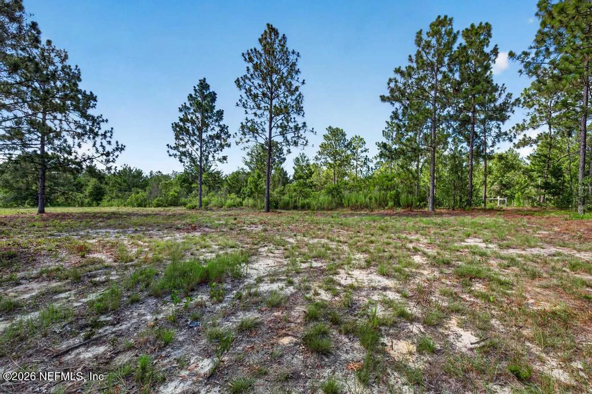 323 Lily Trail Interlachen FL 32148