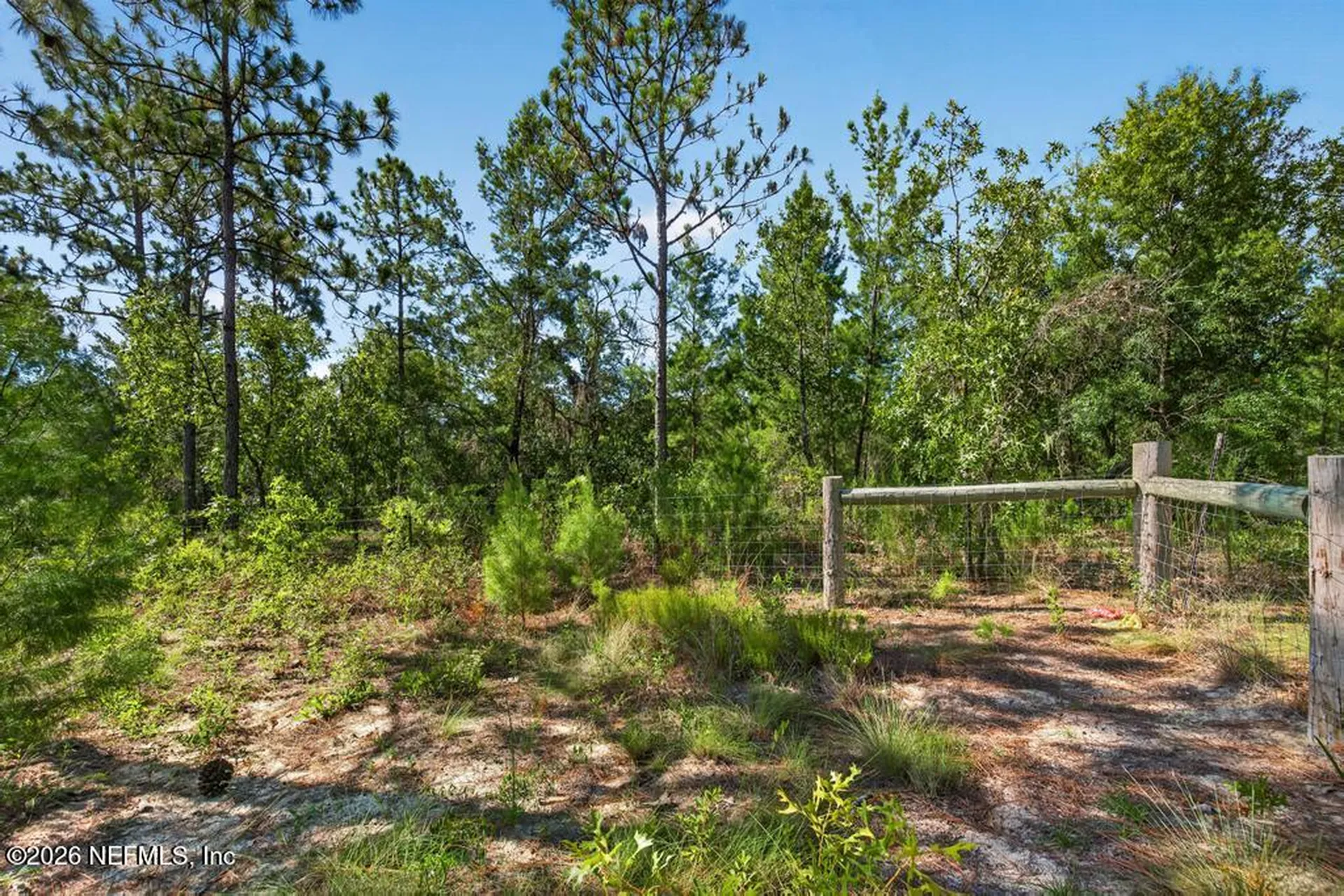 323 Lily Trail Interlachen FL 32148