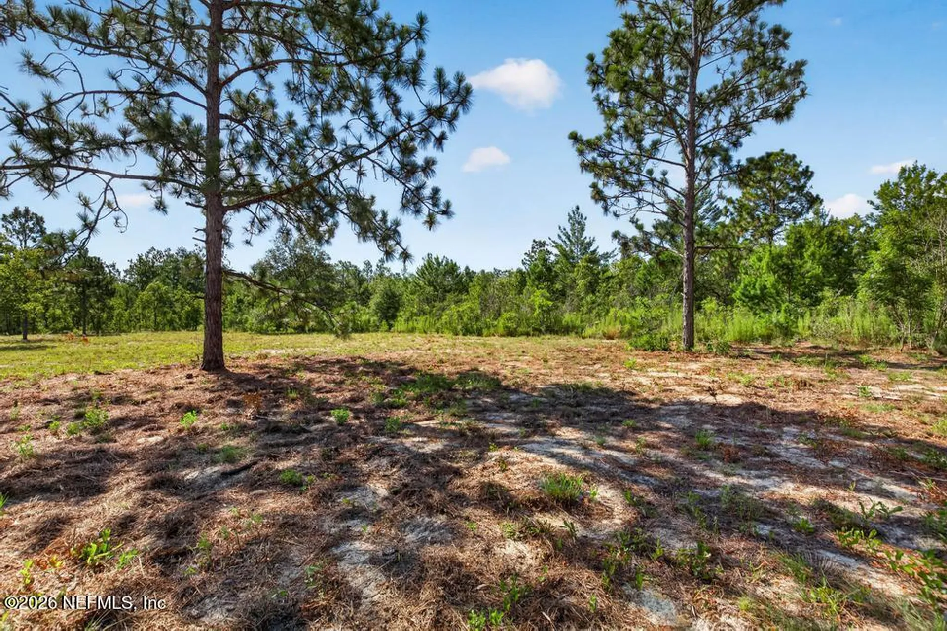 323 Lily Trail Interlachen FL 32148