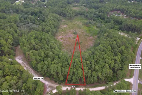 106 Shirley Circle Georgetown FL 32139
