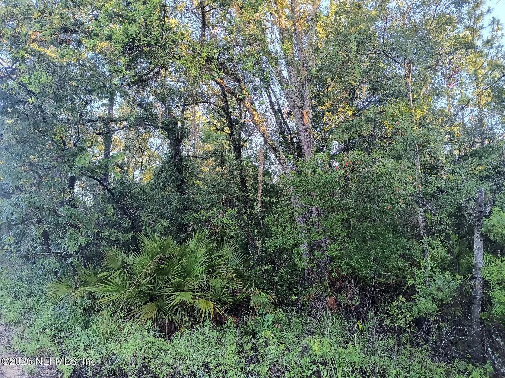 5730 Indian Trail Keystone Heights FL 32656