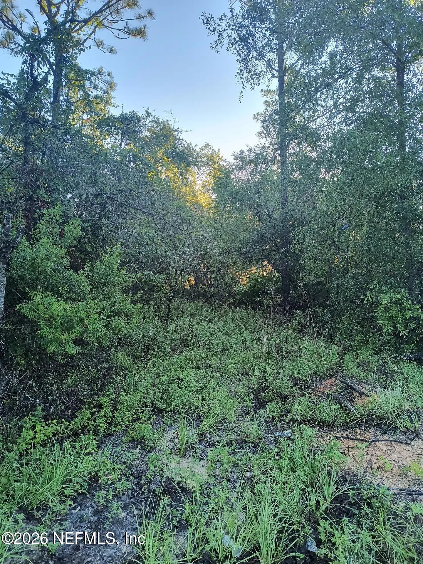 5730 Indian Trail Keystone Heights FL 32656