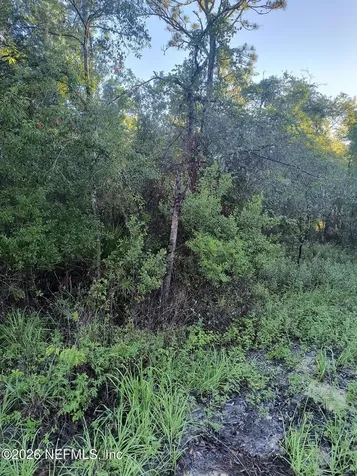 5730 Indian Trail Keystone Heights FL 32656