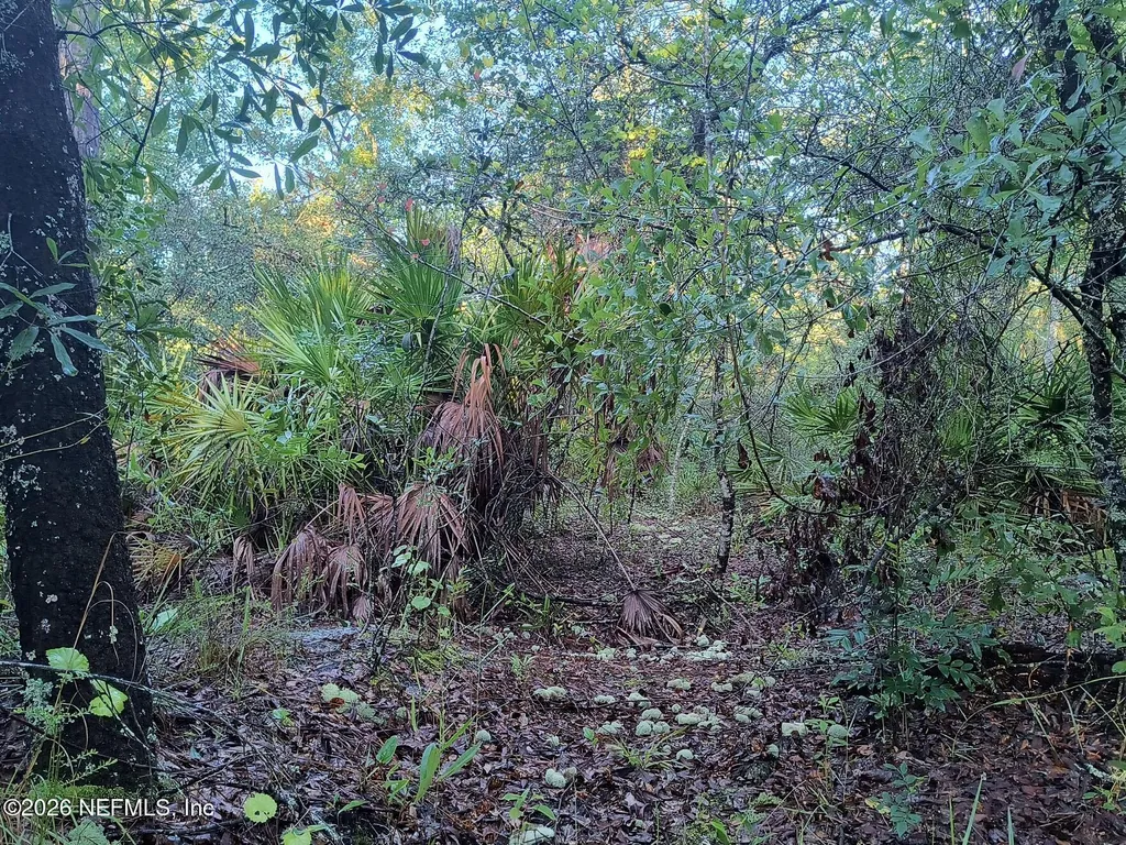 4235 Oak Forest Lane Keystone Heights FL 32656