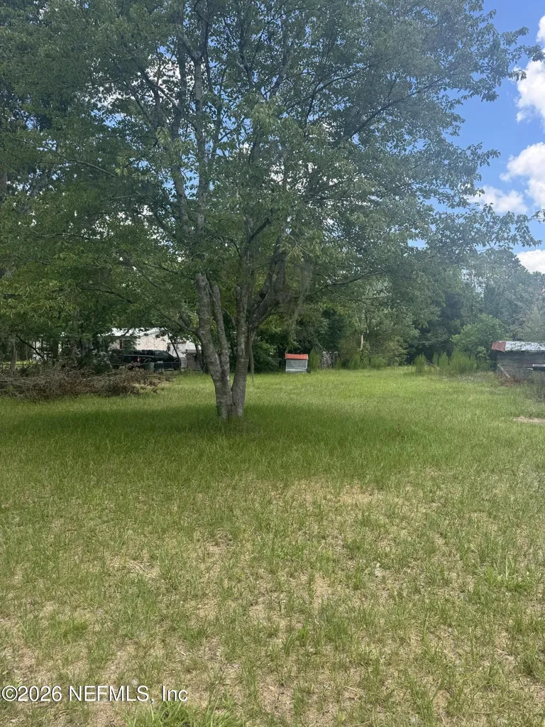 2024 Catherine Lane Middleburg FL 32068