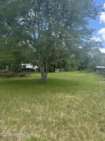 2024 Catherine Lane Middleburg FL 32068