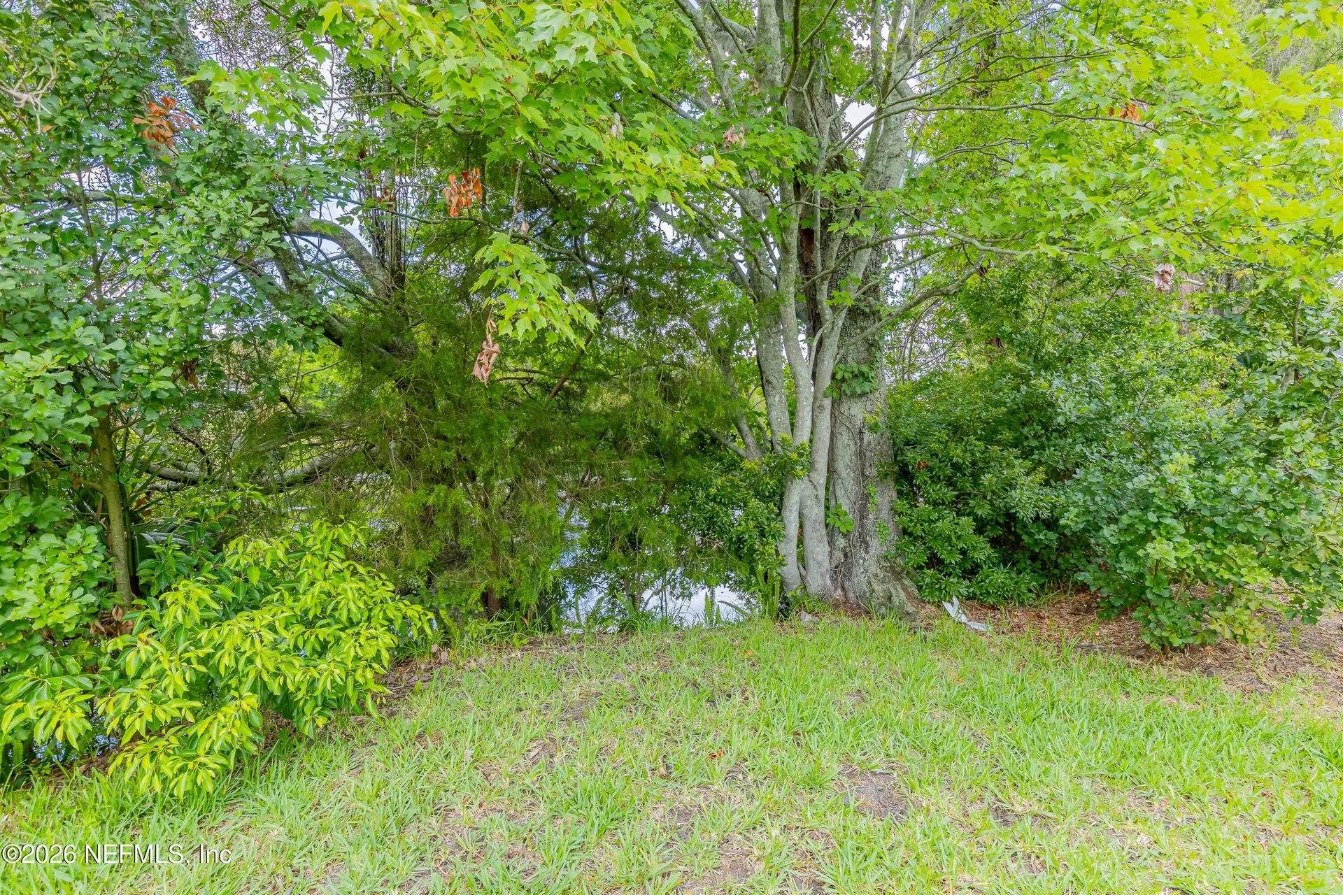 8118 Baymeadows Circle Jacksonville FL 32256