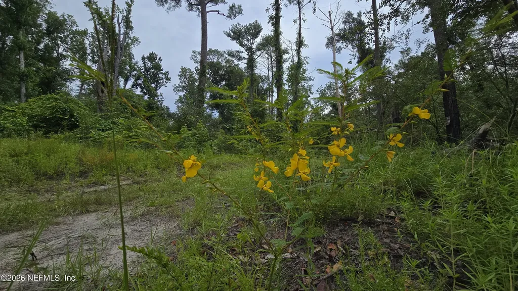 Lot 16 16th Street NW Jasper FL 32052