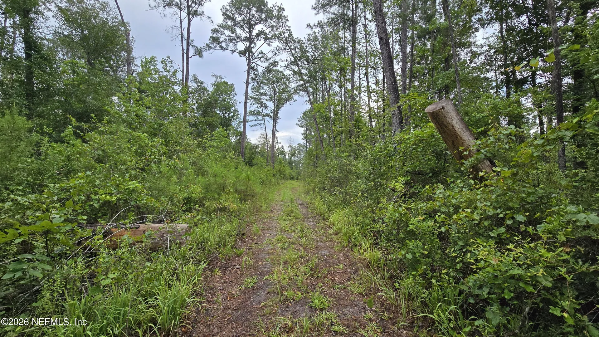 Lot 16 16th Street NW Jasper FL 32052