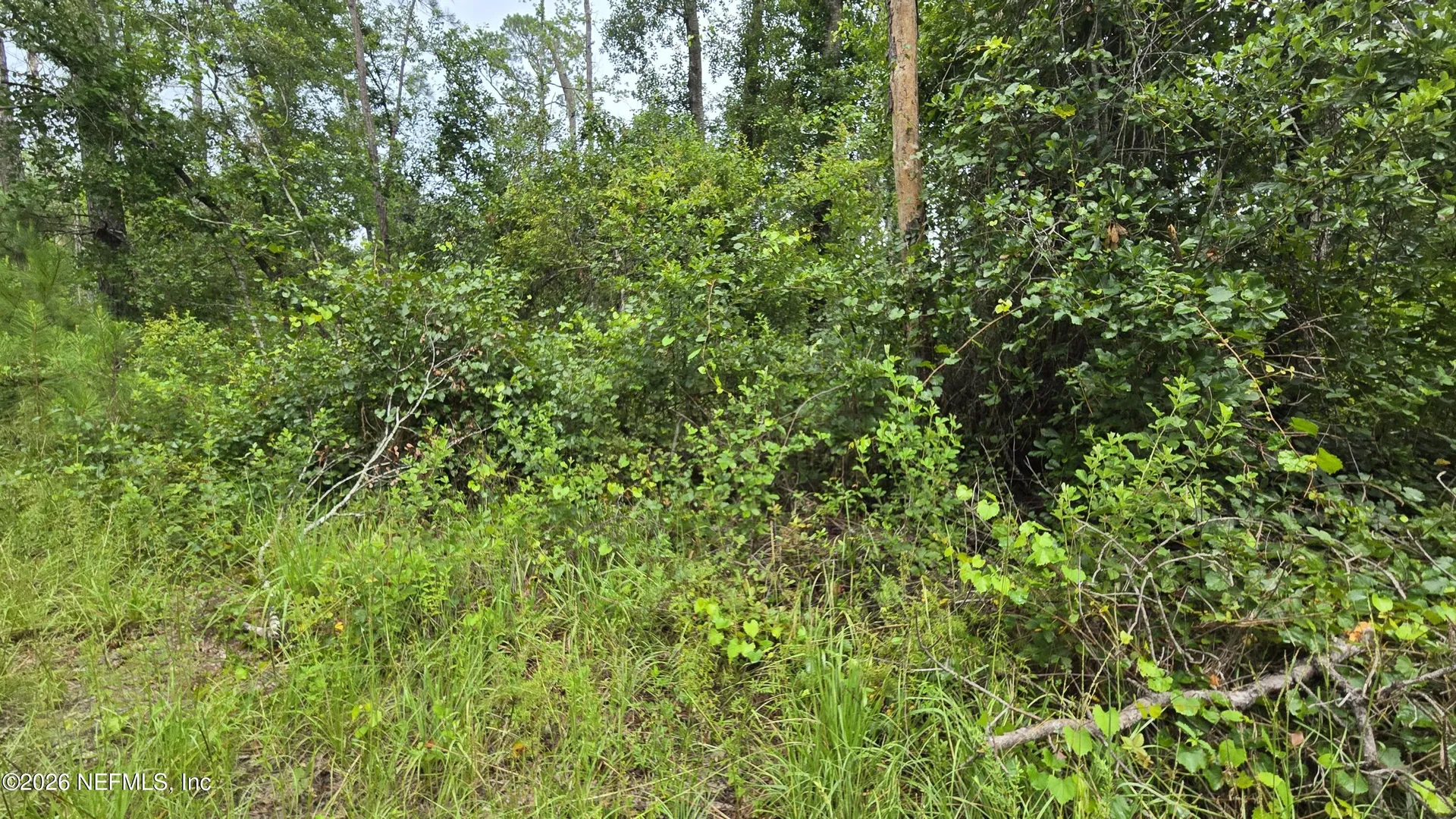 Lot 16 16th Street NW Jasper FL 32052