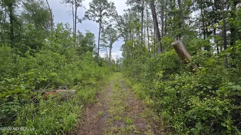 Lot 16 16th Street NW Jasper FL 32052