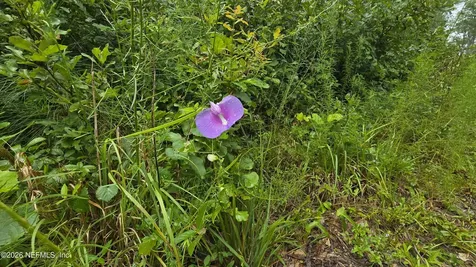 Lot 16 16th Street NW Jasper FL 32052
