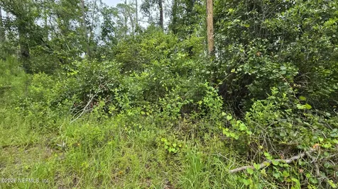 Lot 16 16th Street NW Jasper FL 32052