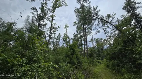 Lot 16 16th Street NW Jasper FL 32052