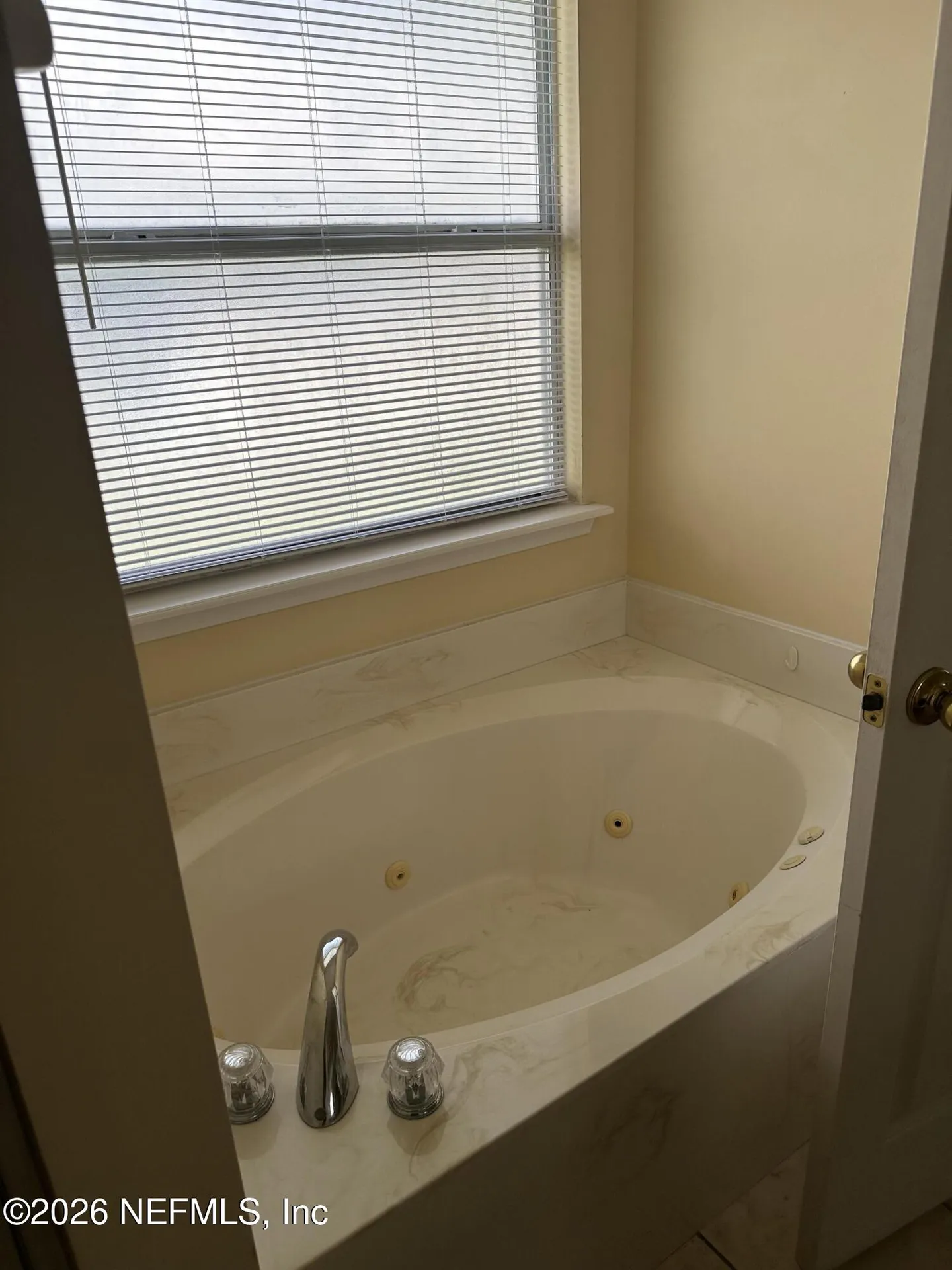1658 Northglen Circle Middleburg FL 32068