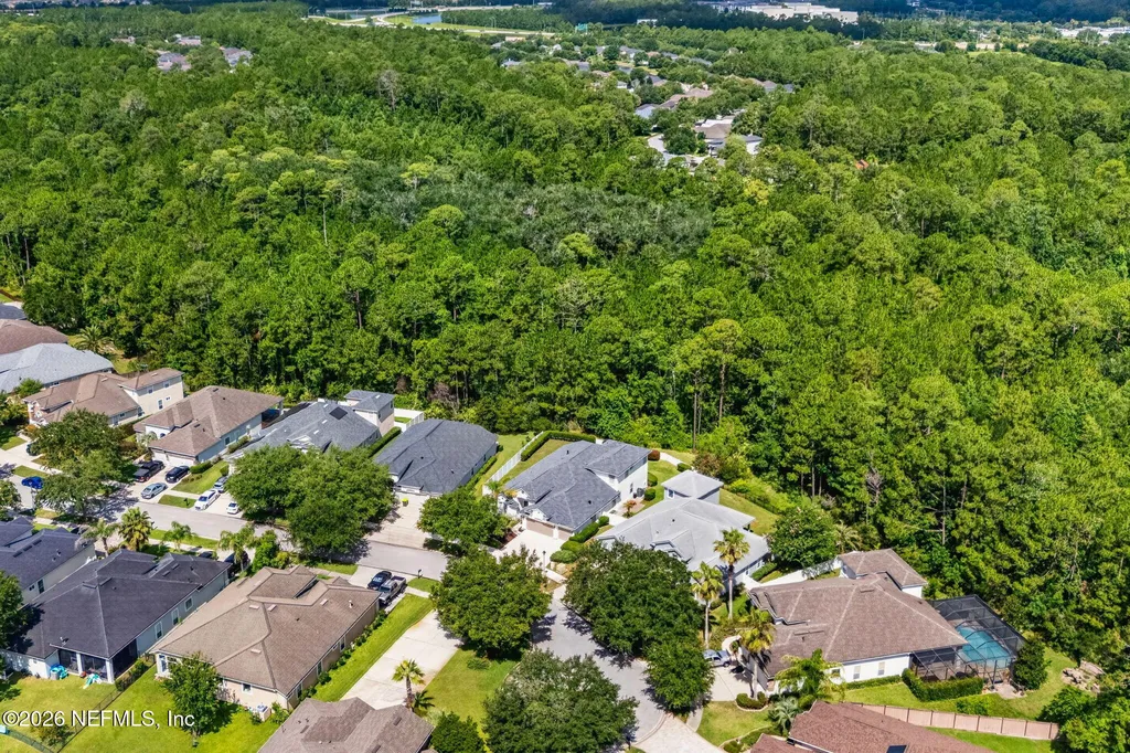 14228 Palmetto Springs Street Jacksonville FL 32258
