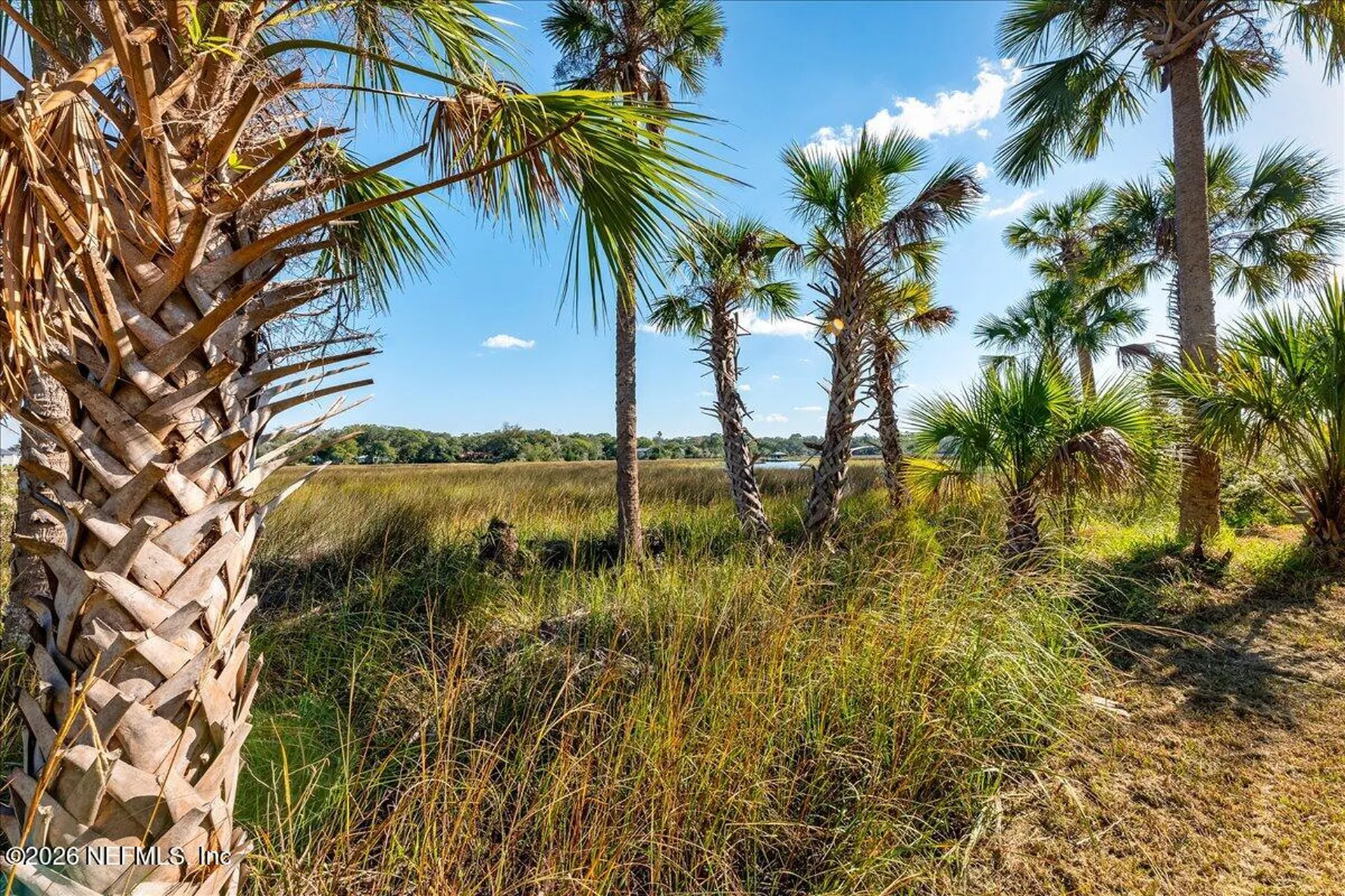 14297 Galvanized Trail Jacksonville FL 32225