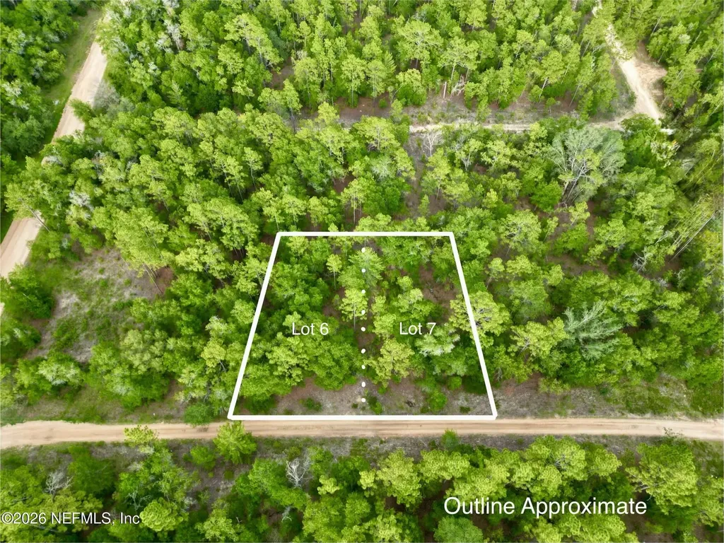 0 Silver Dollar Pond Road Hawthorne FL 32640