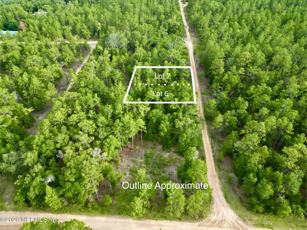 0 Silver Dollar Pond Road Hawthorne FL 32640