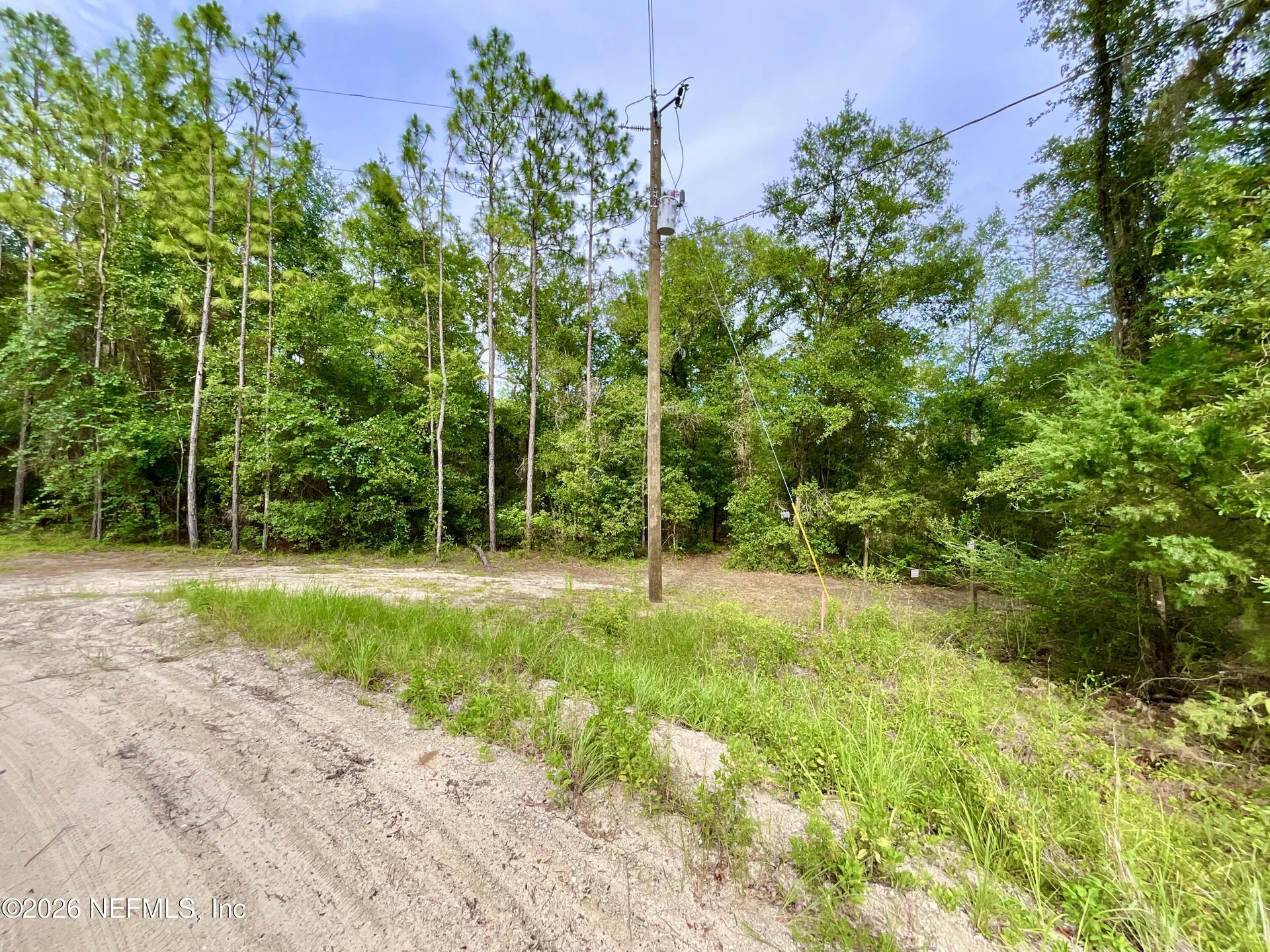 0 Silver Dollar Pond Road Hawthorne FL 32640