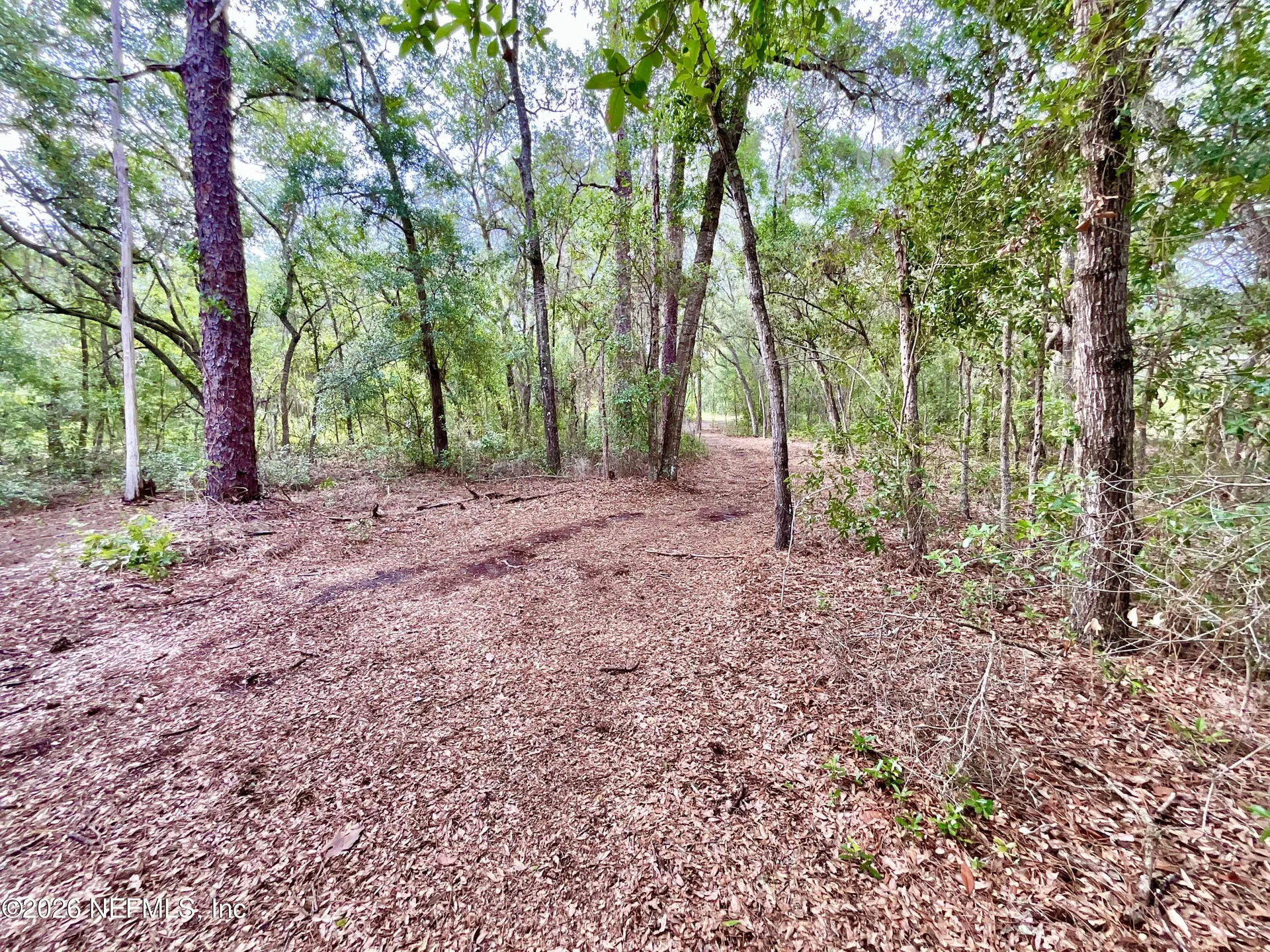 0 Silver Dollar Pond Road Hawthorne FL 32640