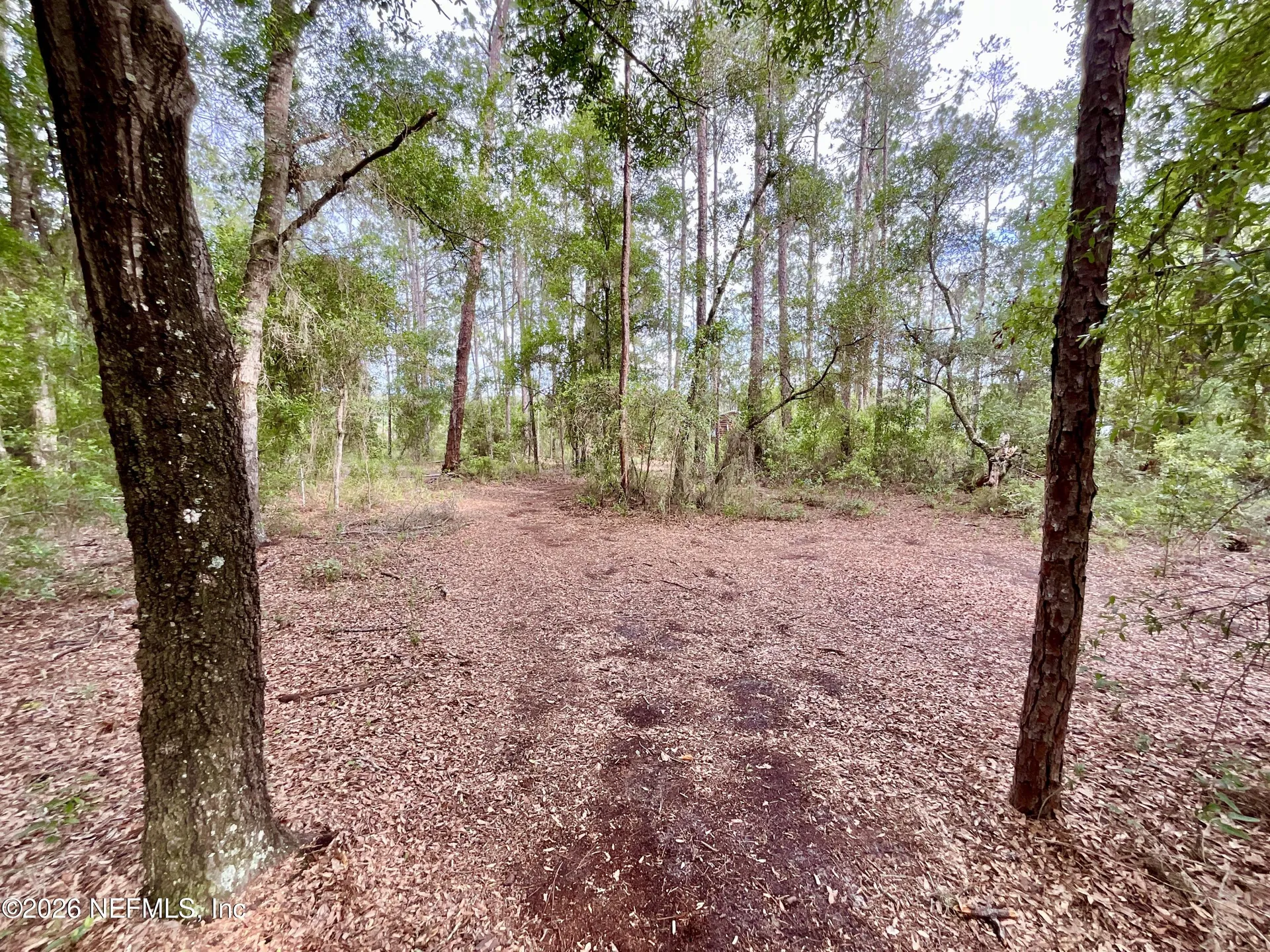 0 Silver Dollar Pond Road Hawthorne FL 32640