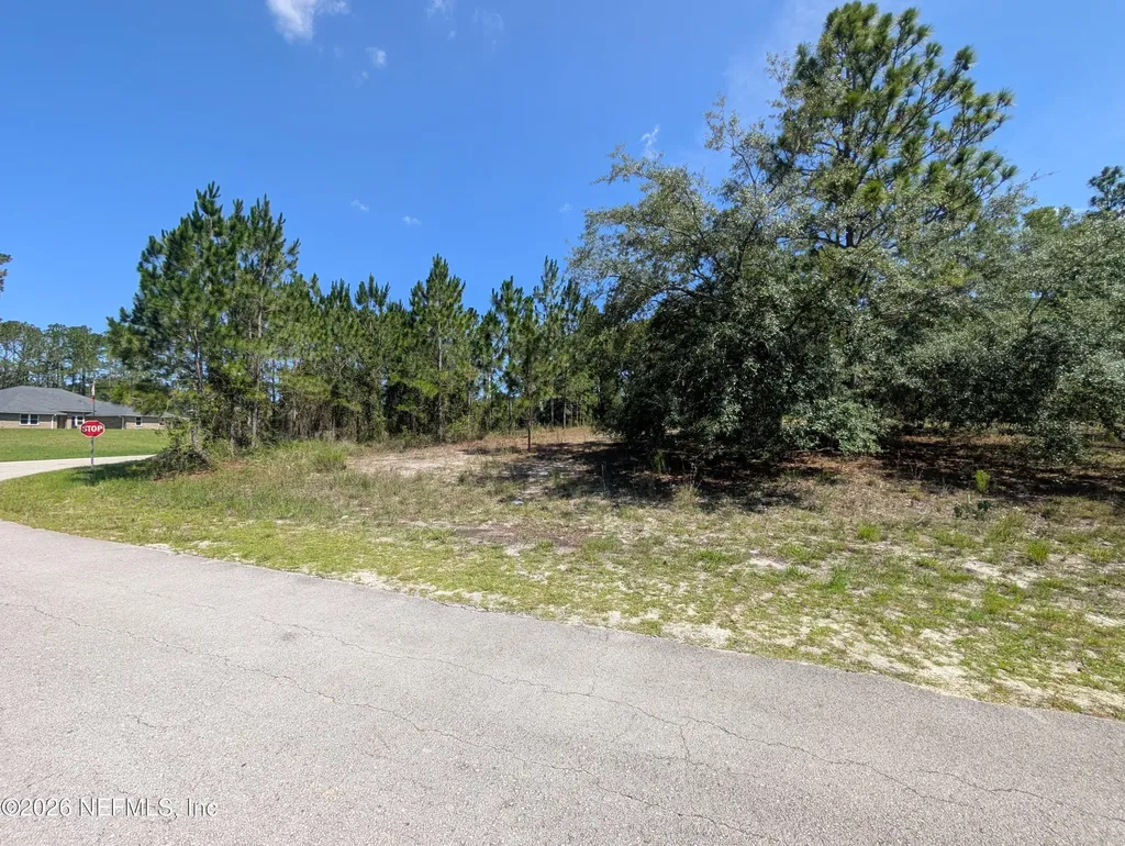 4200 Mail Coach Court Middleburg FL 32068