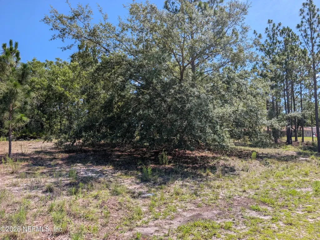 4200 Mail Coach Court Middleburg FL 32068