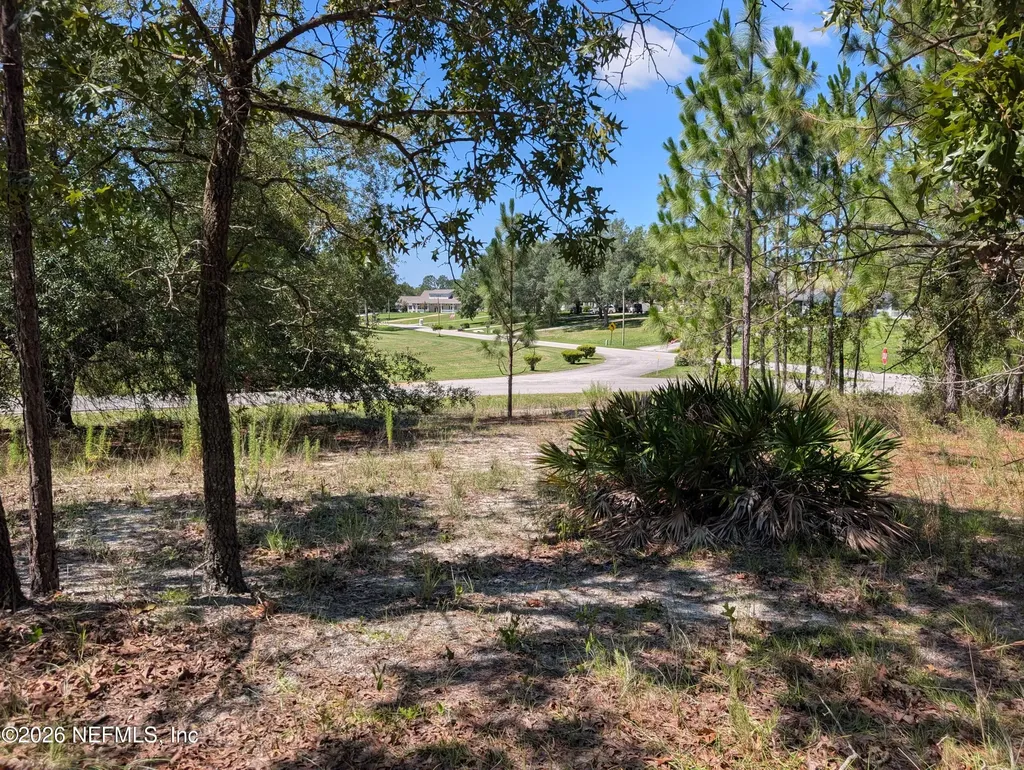 4200 Mail Coach Court Middleburg FL 32068