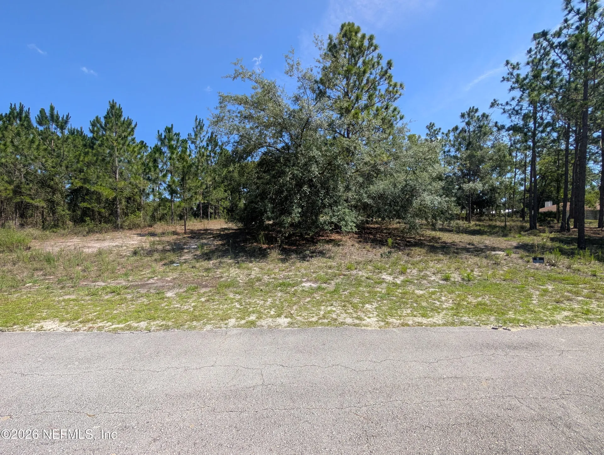 4200 Mail Coach Court Middleburg FL 32068