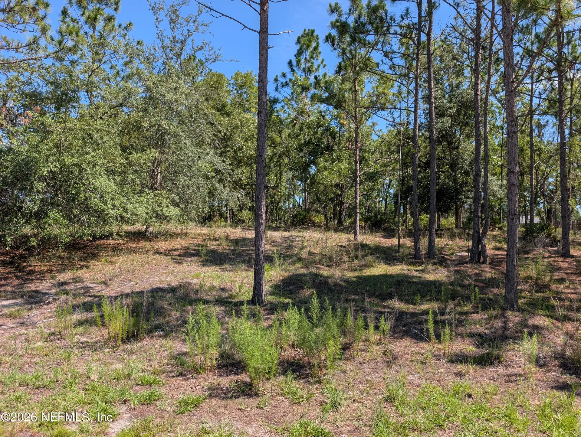 4200 Mail Coach Court Middleburg FL 32068