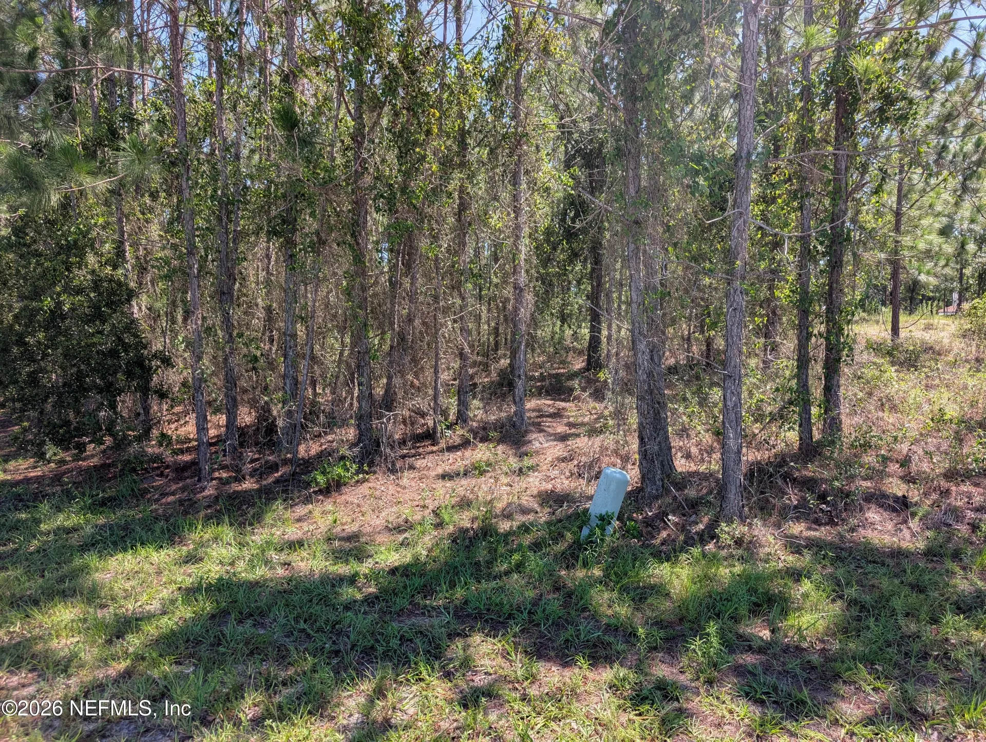 4200 Mail Coach Court Middleburg FL 32068