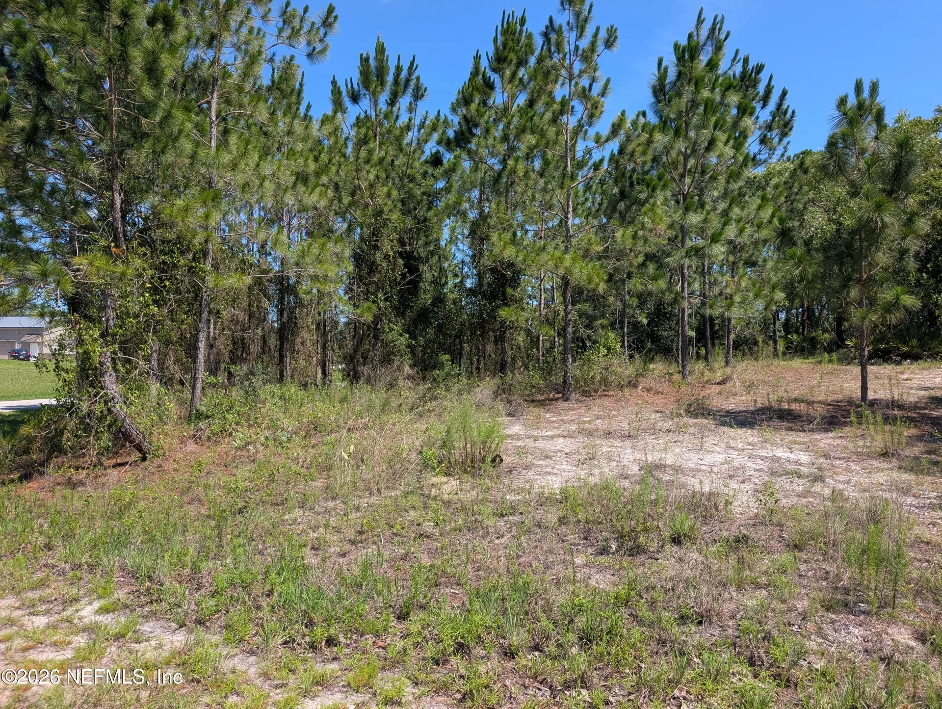 4200 Mail Coach Court Middleburg FL 32068