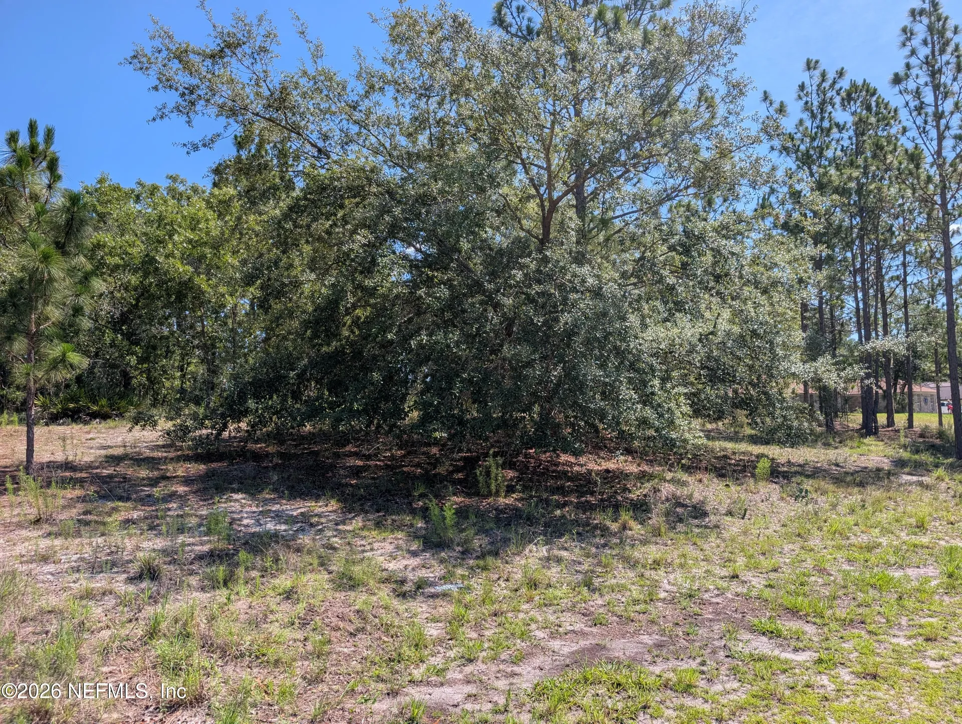 4200 Mail Coach Court Middleburg FL 32068