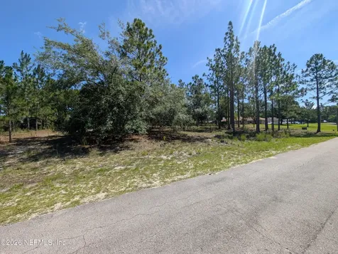 4200 Mail Coach Court Middleburg FL 32068