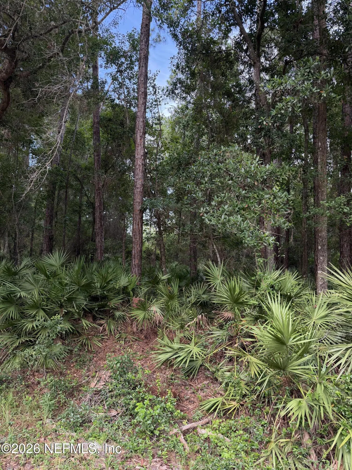 102 Caroline Boulevard Georgetown FL 32139