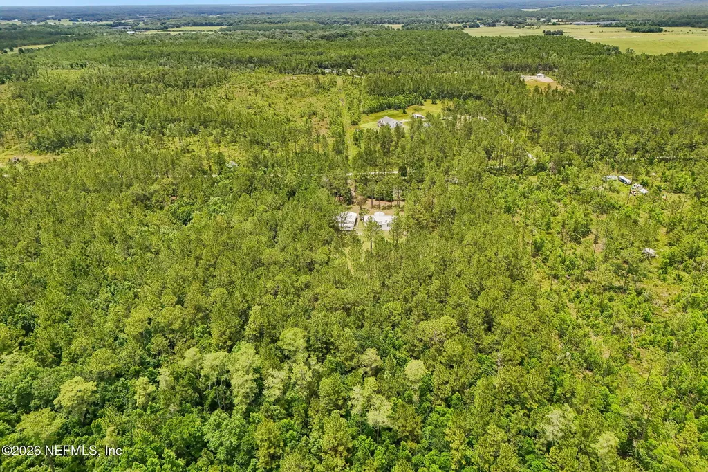 341 Volusian Forest Trail Pierson FL 32180